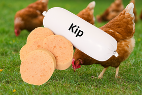 Franks Pro Gold Houdbare worst Kip 800 gram