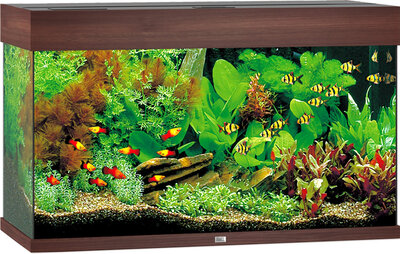 juwel aquarium rio LED 125 donker bruin