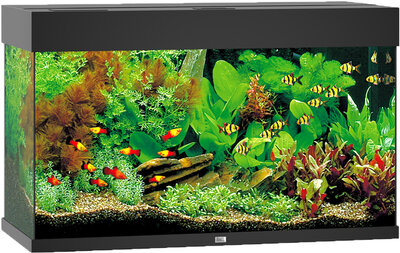 juwel aquarium rio 125 LED zwart